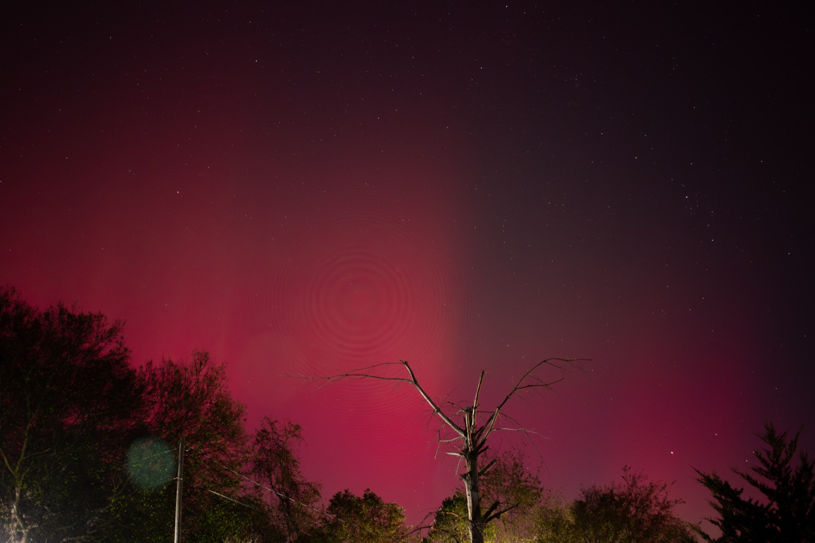 Aurora