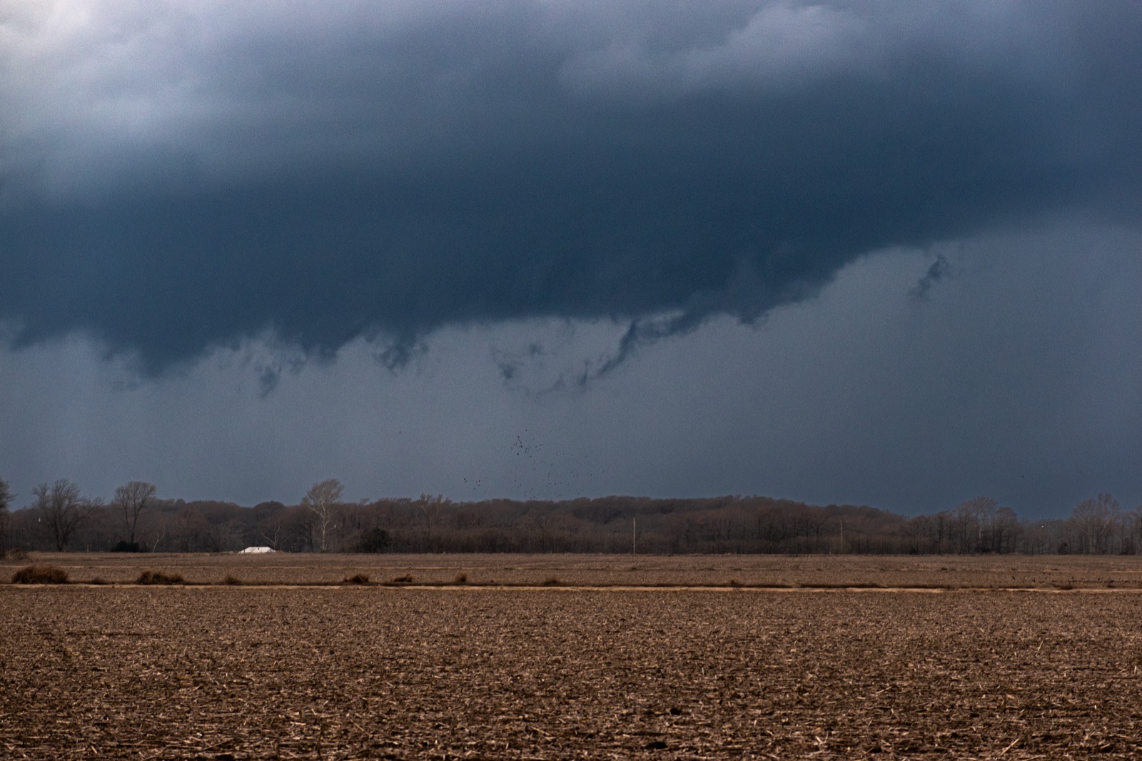 Storm chase